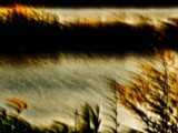 ART PHOTOGRAPHY IM MARAIS